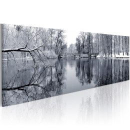 Obraz - Zimowy widok