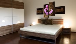 Obraz - Orchidea i drewno