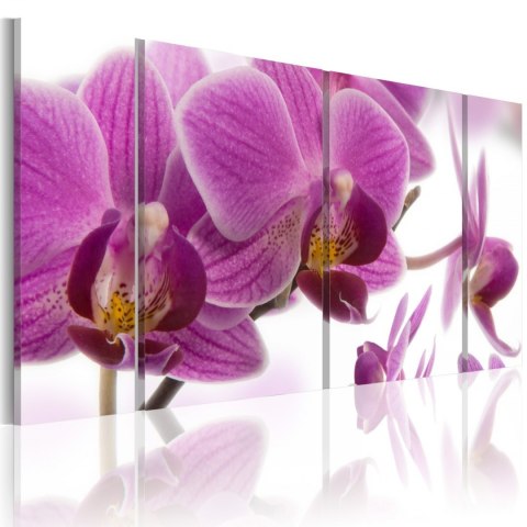 Obraz 3-częściowy - Fioletowe Orchidee Obraz 3-częściowy - Fioletowe Orchidee