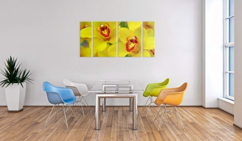 Obraz 4-częściowy - Żółte Orchidee Obraz 4-częściowy - Żółte Orchidee