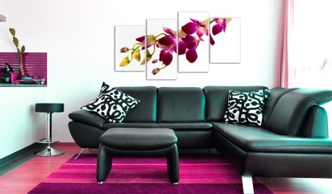 Obraz 80 x 45 cm - Blask orchidei Obraz 80 x 45 cm - Blask orchidei