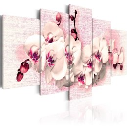 Obraz 5-częściowy - Różowe orchidee
