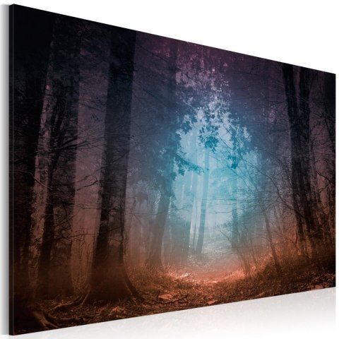 Obraz - Edge of the forest Obraz - Edge of the forest