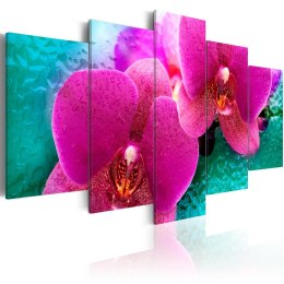 Obraz 5-częściowy - Różowa Orchidea