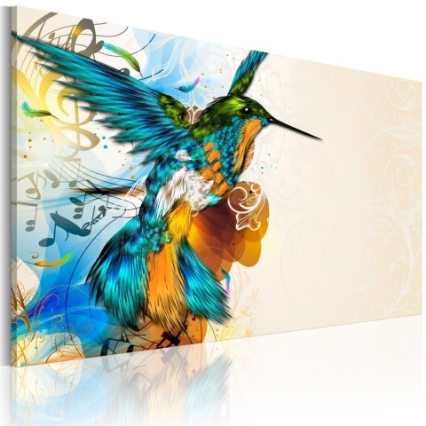 Obraz - Bird's music - Koliber Obraz - Bird's music - Koliber