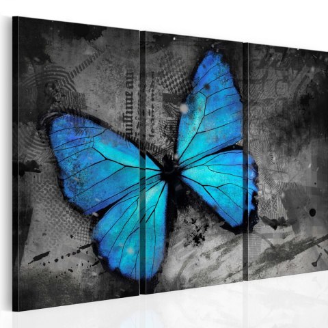 Obraz - Błękitny Motyl Obraz - Błękitny Motyl