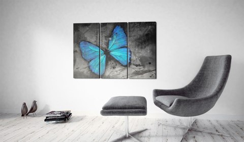 Obraz - Błękitny Motyl Obraz - Błękitny Motyl