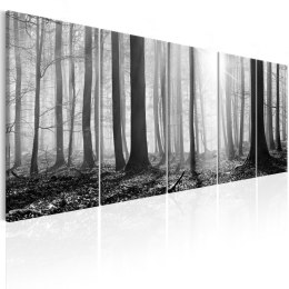Obraz 5-częściowy - Monochromatyczny las