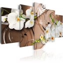 Obraz 5-częściowy - Orchidee Kwiaty Brąz