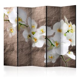 Parawan 5-częściowy - Nieskazitelność orchidei II 