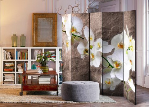 Parawan 5-częściowy - Nieskazitelność orchidei II Parawan 5-częściowy - Nieskazitelność orchidei II