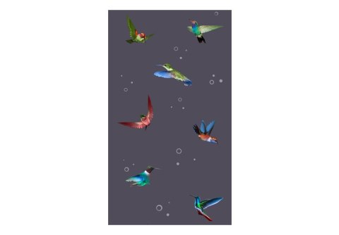 Tapeta na ścianę 10 m - Lot kolibra Tapeta na ścianę 10 m - Lot kolibra