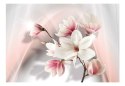 Fototapeta - Białe magnolie, róż, 3D