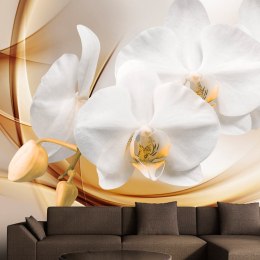 Fototapeta - Kwiat orchidei 3D