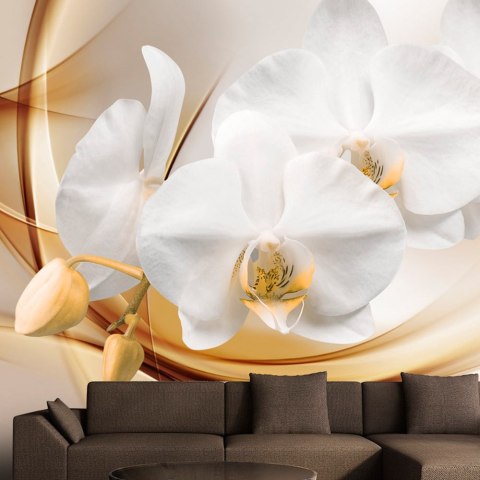 Fototapeta - Kwiat orchidei 3D Fototapeta - Kwiat orchidei 3D