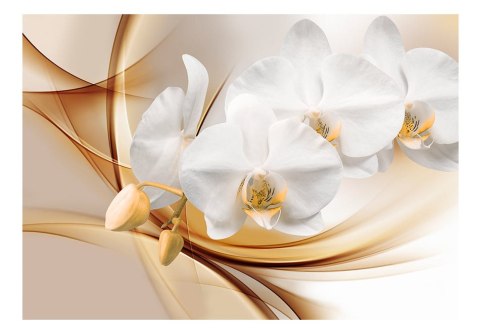 Fototapeta - Kwiat orchidei 3D Fototapeta - Kwiat orchidei 3D