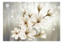 Fototapeta - Białe kwiaty 3D Magnolie