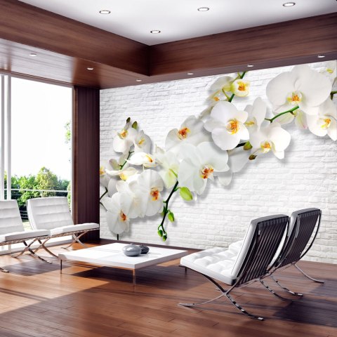 Fototapeta - Miejska orchidea Fototapeta - Miejska orchidea