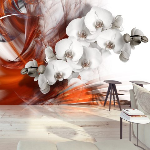 Fototapeta - Orchidea w ogniu II Fototapeta - Orchidea w ogniu II