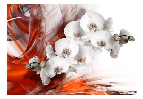 Fototapeta - Orchidea w ogniu II Fototapeta - Orchidea w ogniu II