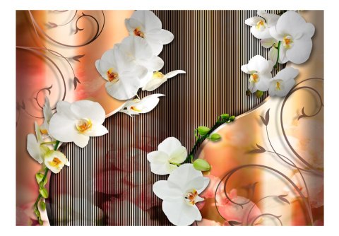 Fototapeta - Orchidea, Pomarańczowa Fototapeta - Orchidea, Pomarańczowa