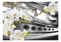 Fototapeta - Orchidee & biżuteria