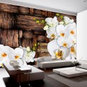 Fototapeta - Kwitnące orchidee Drewno