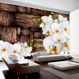 Fototapeta - Kwitnące orchidee Drewno