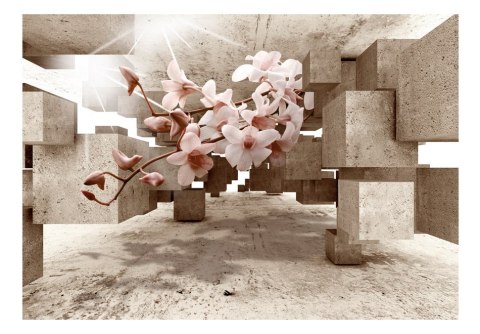 Fototapeta - Kwiaty, figury 3D, beż Fototapeta - Kwiaty, figury 3D, beż