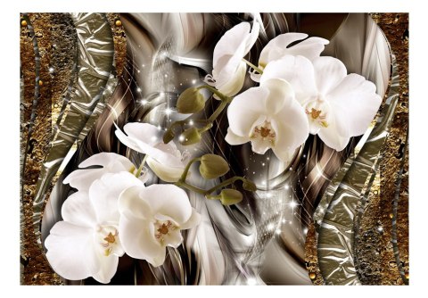 Fototapeta - Złoto i biała orchidea Fototapeta - Złoto i biała orchidea