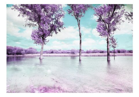Fototapeta - Wrzosowe Drzewa, Jezioro Fototapeta - Wrzosowe Drzewa, Jezioro