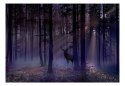 Fototapeta - Tajemniczy Las, Jeleń