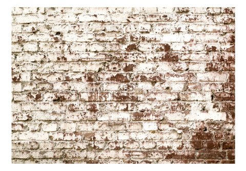 Fototapeta samoprzylepna - Stary Mur, Cegły Fototapeta samoprzylepna - Stary Mur, Cegły