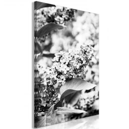 Obraz - Monochromatyczny bez pionowy