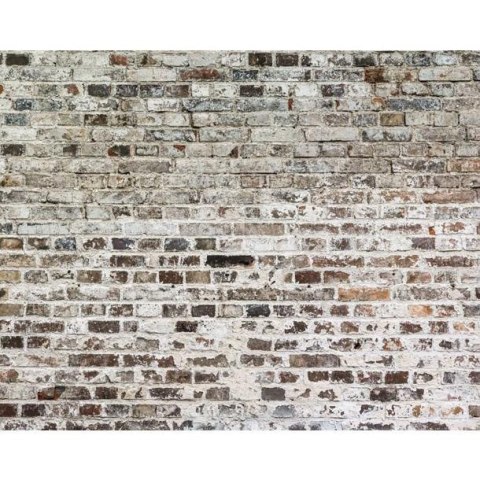 Fototapeta - Stary mur, cegły, tynk Fototapeta - Stary mur, cegły, tynk