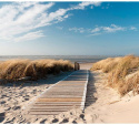 Fototapeta - Plaża Morza Północnego