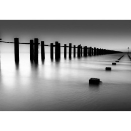 Fototapeta - Czarno-biała rzeka, pale