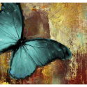 Fototapeta - Painted butterfly