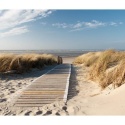 Fototapeta - Plaża Morza Północnego