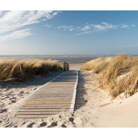 Fototapeta - Plaża Morza Północnego Fototapeta - Plaża Morza Północnego