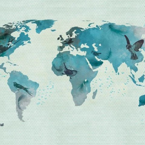 Fototapeta - Błękitna mapa, Ptaki Fototapeta - Błękitna mapa, Ptaki