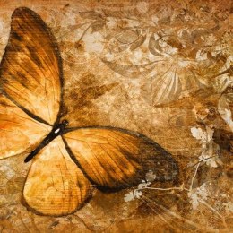 Fototapeta - Duży motyl, brąz, sepia