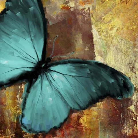 Fototapeta - Duży turkusowy motyl Fototapeta - Duży turkusowy motyl