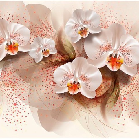 Fototapeta - Herbaciane orchidee Fototapeta - Herbaciane orchidee