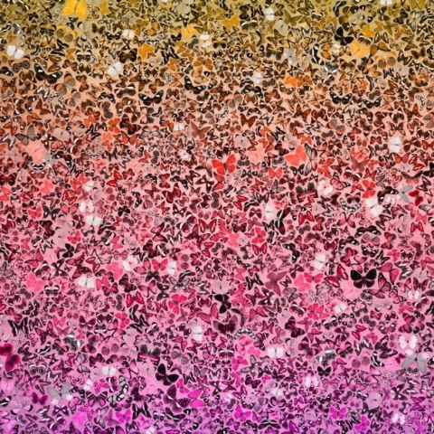 Fototapeta - Kolorowa, motyle, dekor