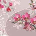 Fototapeta - Lot różowych orchidei