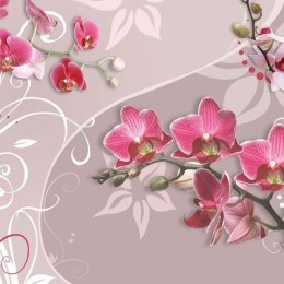 Fototapeta - Lot różowych orchidei