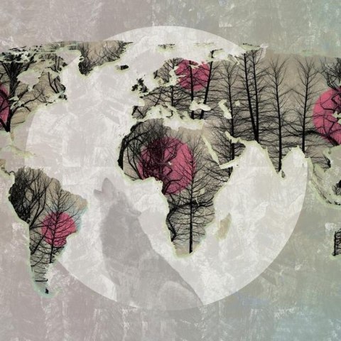 Fototapeta - Mapa Świata, Szary róż Fototapeta - Mapa Świata, Szary róż