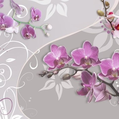 Fototapeta - Motyw roślinny, orchidee Fototapeta - Motyw roślinny, orchidee