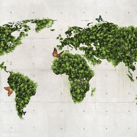 Fototapeta - Zielona Mapa, Natura Fototapeta - Zielona Mapa, Natura
